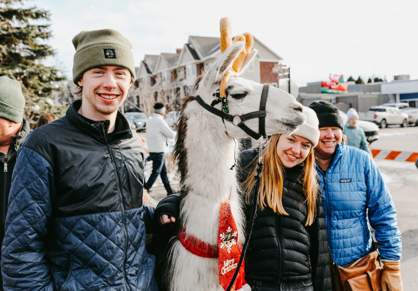 Reindeer selfies, obviously